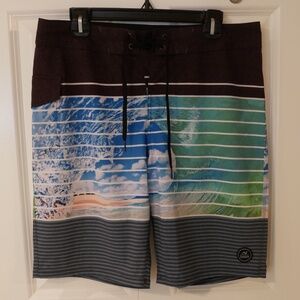 Clark Little Mens Crystal Ball 4-Way Stretch Boardshorts NWOT~